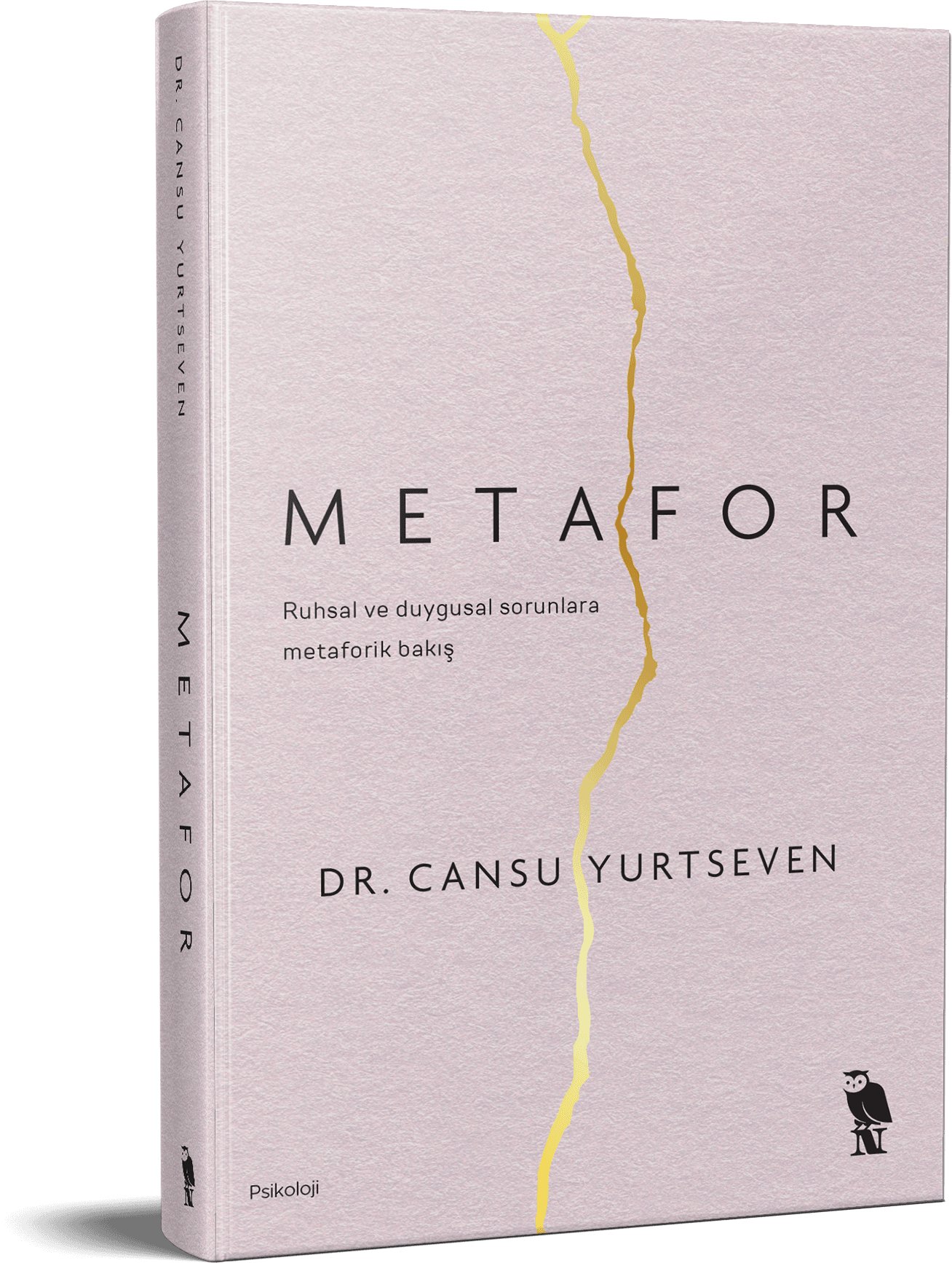 Metafor